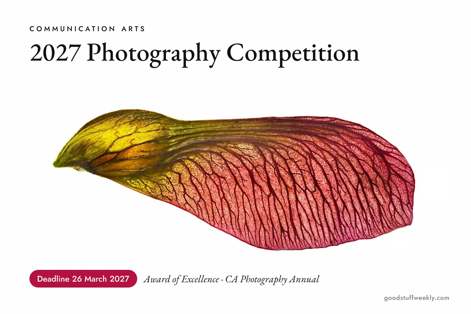 Communication Arts 2027 Photography Competition: backlit close-up of a maple seed wing shading from yellow-green to deep red, with fine veins, on white; deadline 26 March 2027