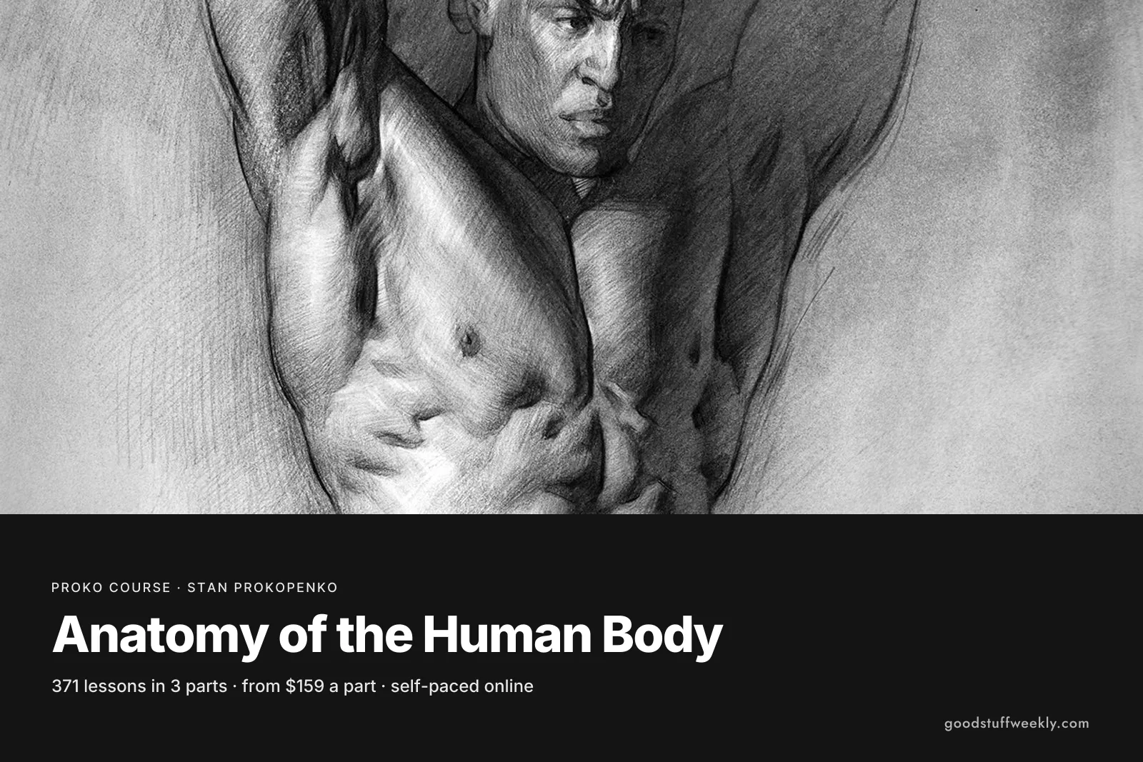 A shaded anatomical drawing of a male torso with raised arms, for Proko's Anatomy of the Human Body