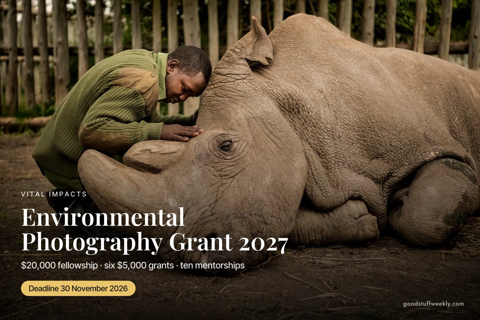 A keeper resting his head on a northern white rhino, with the title Vital Impacts Environmental Photography Grant 2027