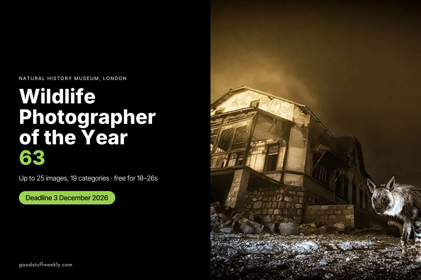 Brown hyena in front of an abandoned house at night, beside the title Wildlife Photographer of the Year 63