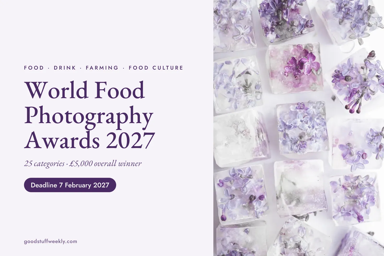 World Food Photography Awards 2027: ice cubes with frozen lilac flowers on a white surface; deadline 7 February 2027
